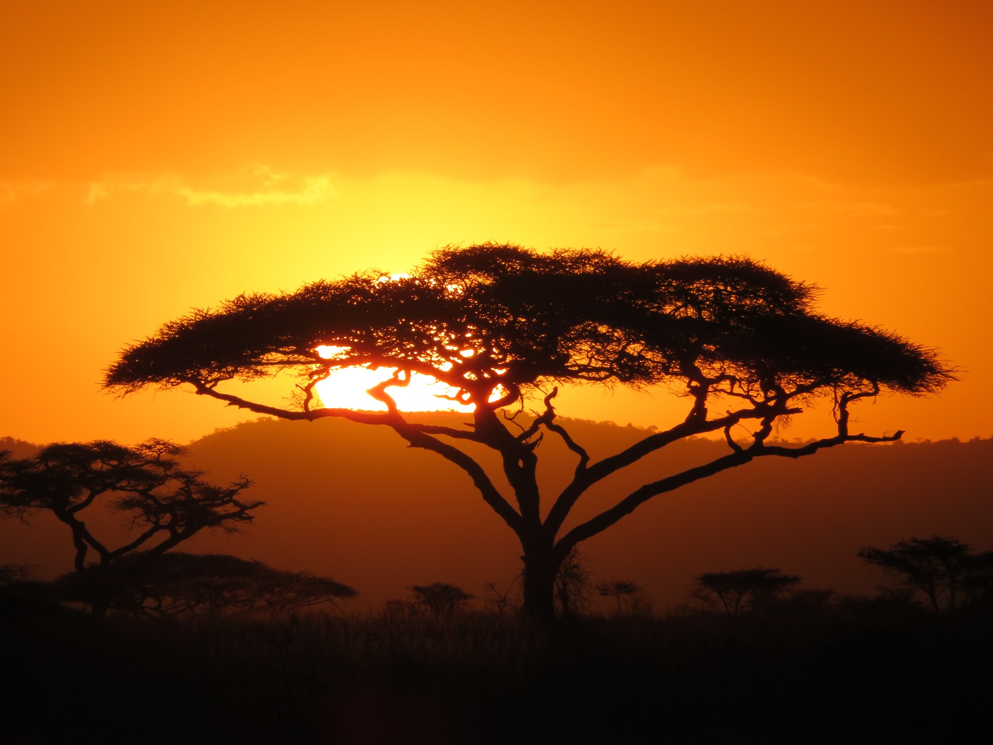 HAY ALGÚN PROBLEMA CON LA FOTO