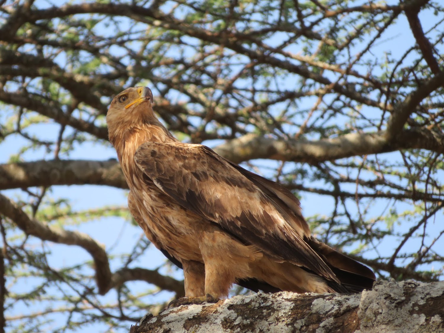 HAY ALGÚN PROBLEMA CON LA FOTO