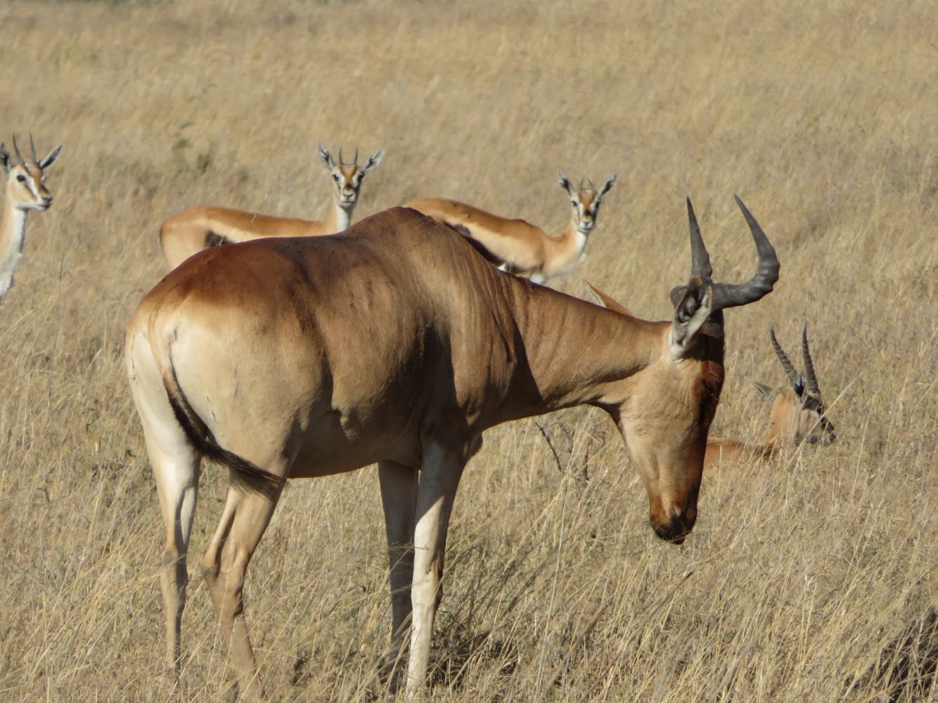 HAY ALGÚN PROBLEMA CON LA FOTO