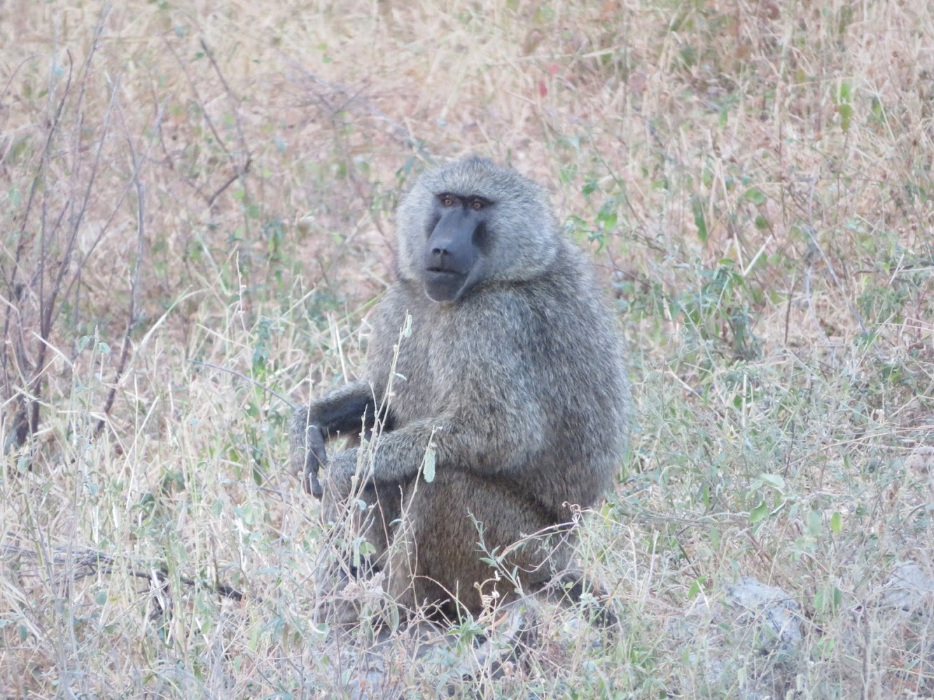 HAY ALGÚN PROBLEMA CON LA FOTO