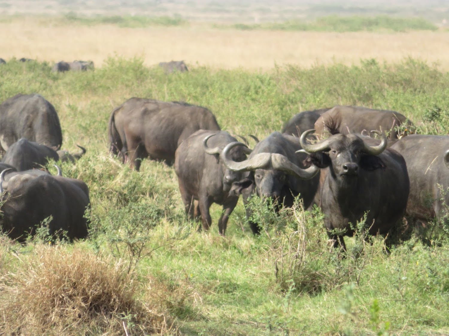 HAY ALGÚN PROBLEMA CON LA FOTO