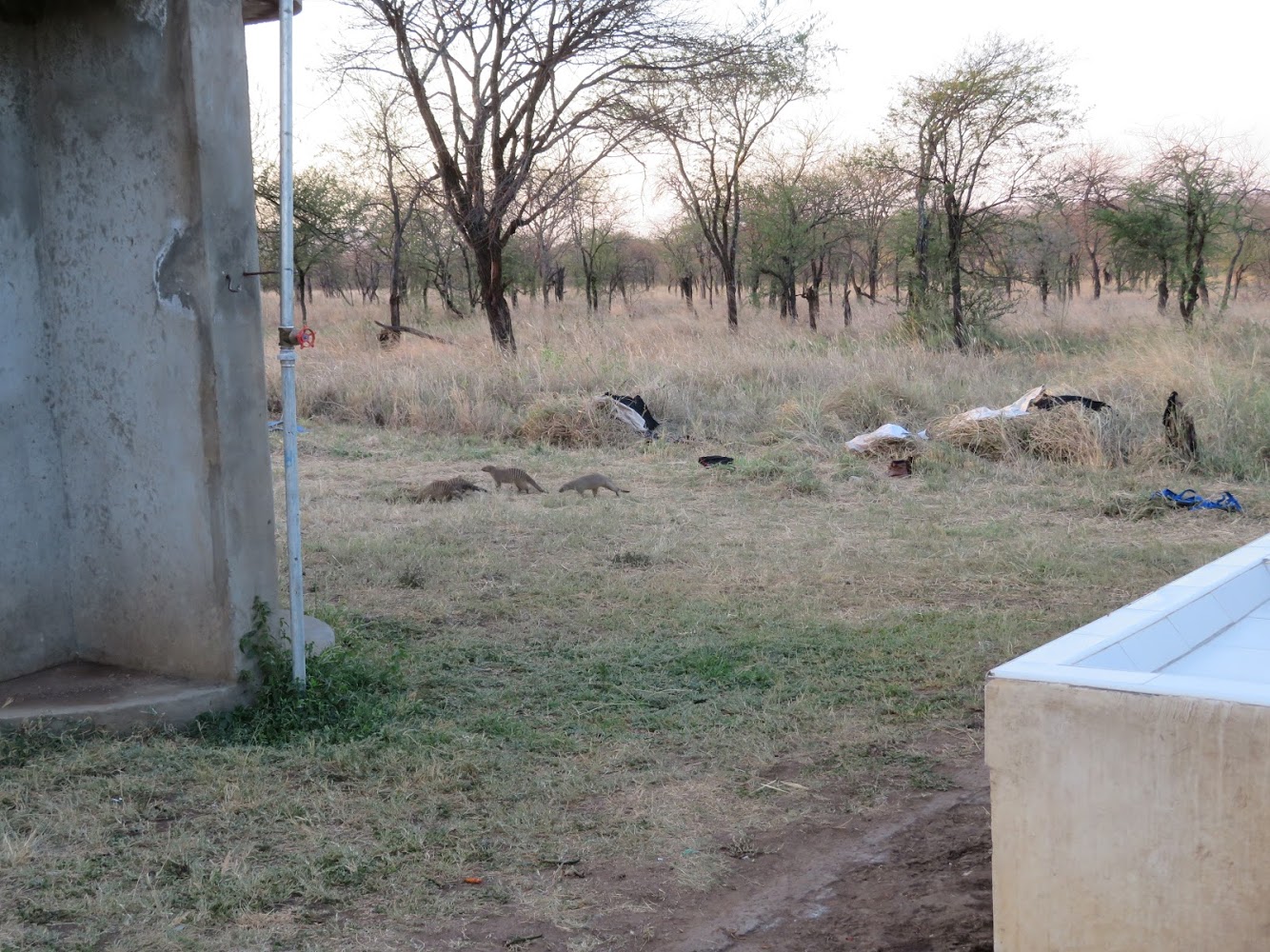 HAY ALGÚN PROBLEMA CON LA FOTO