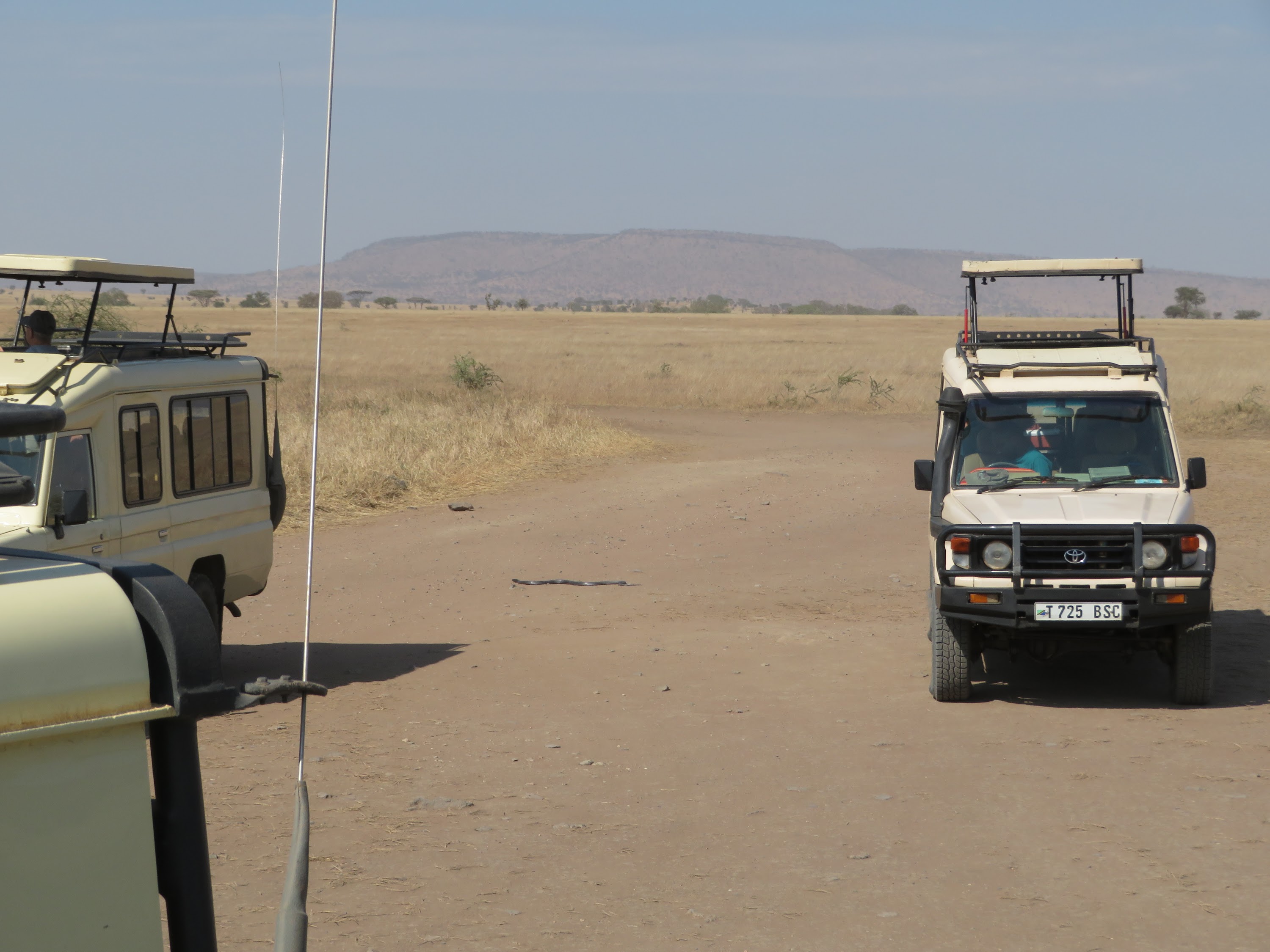 HAY ALGÚN PROBLEMA CON LA FOTO