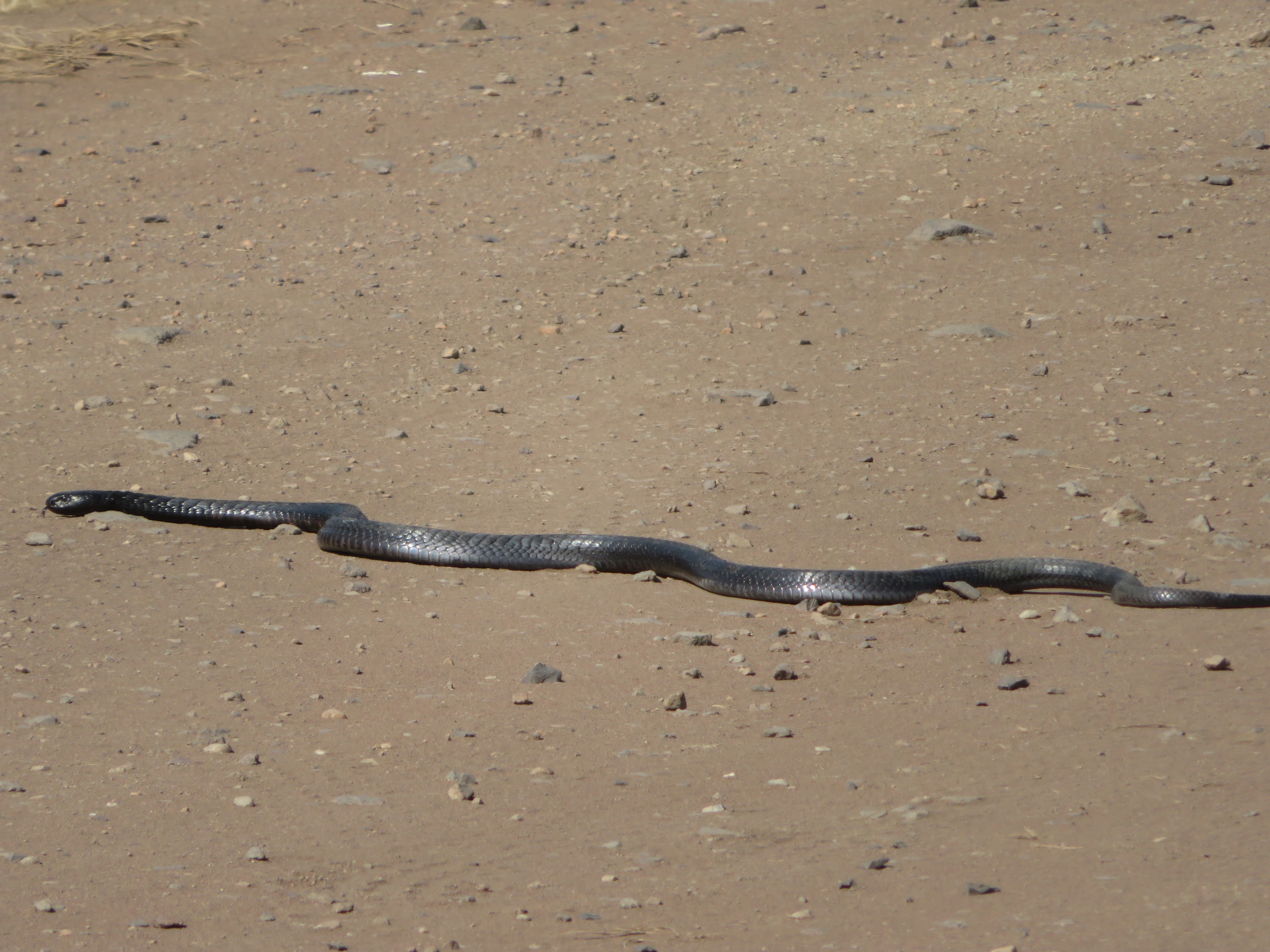 HAY ALGÚN PROBLEMA CON LA FOTO