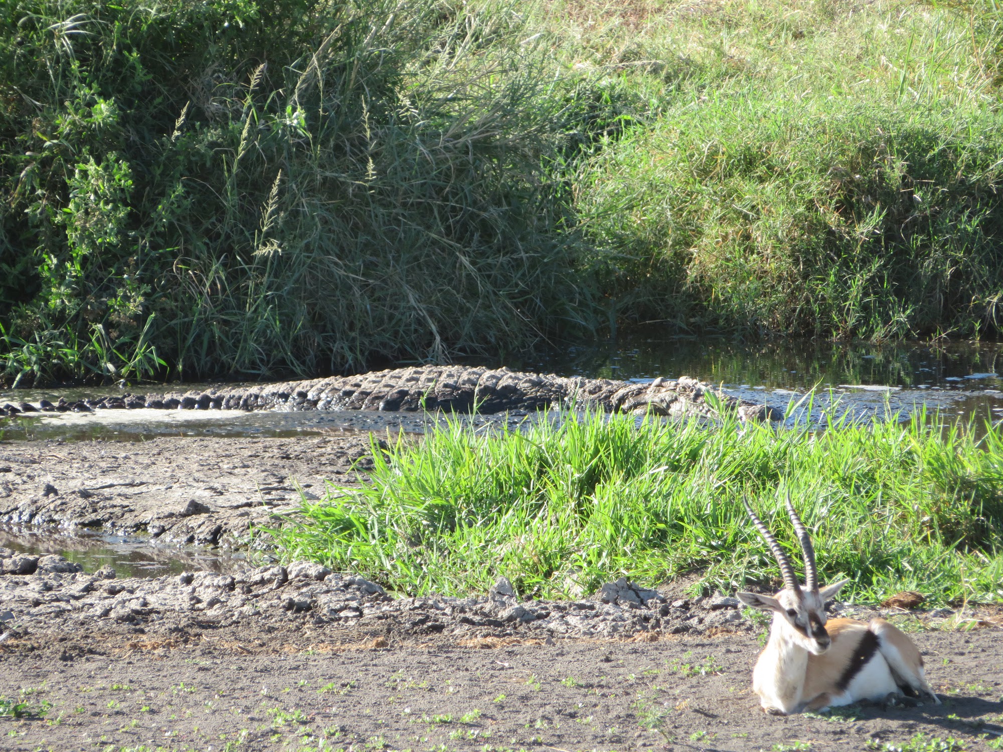 HAY ALGÚN PROBLEMA CON LA FOTO