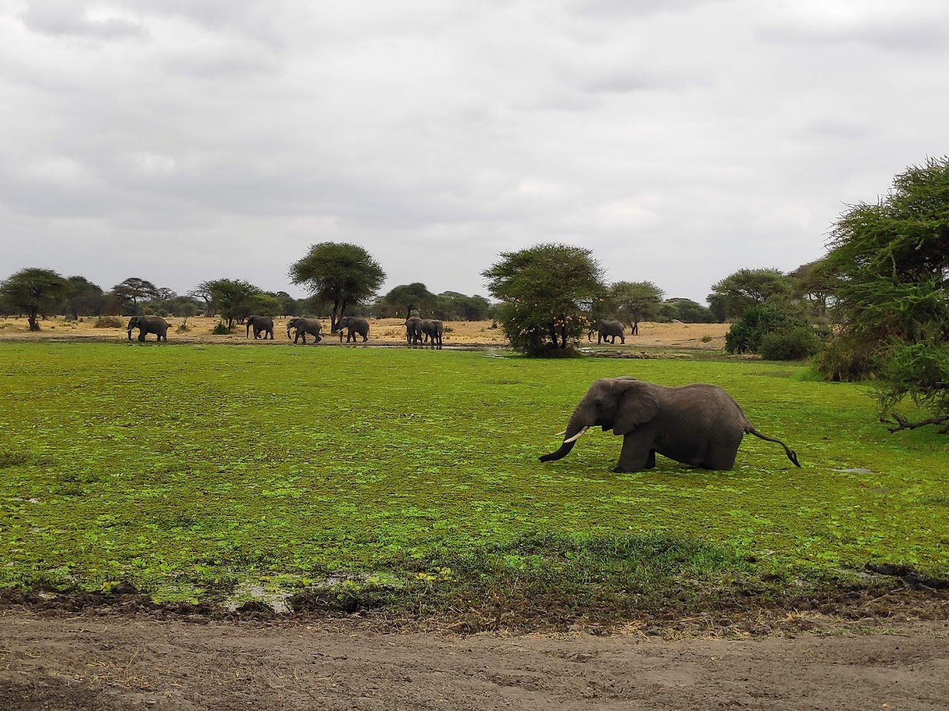 HAY ALGÚN PROBLEMA CON LA FOTO