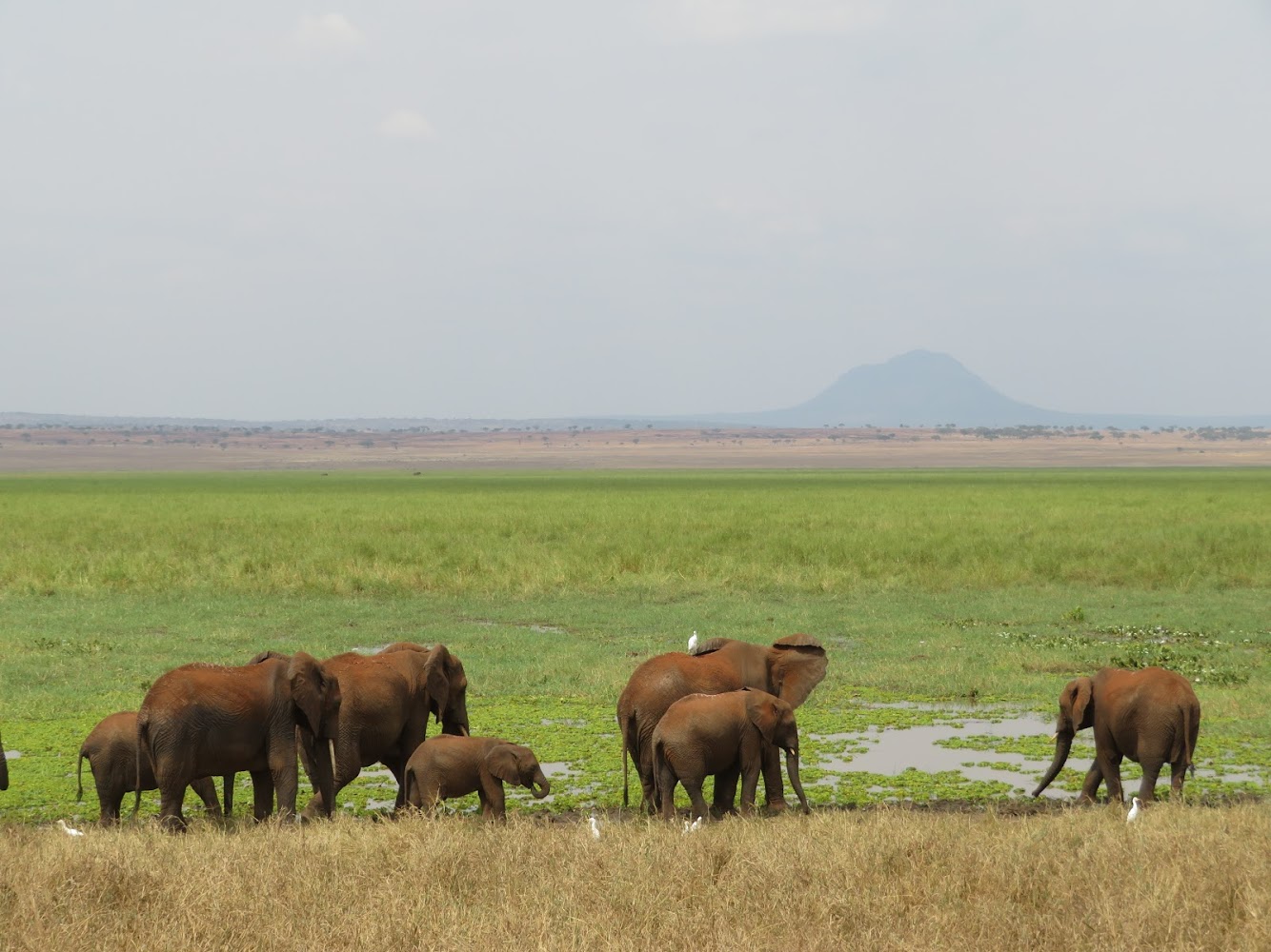 HAY ALGÚN PROBLEMA CON LA FOTO