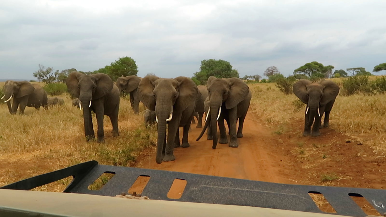 HAY ALGÚN PROBLEMA CON LA FOTO