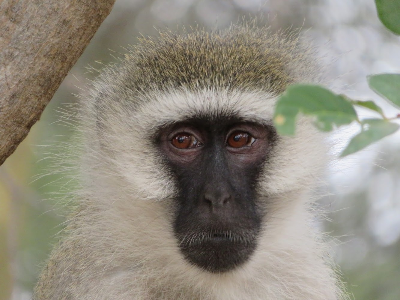 HAY ALGÚN PROBLEMA CON LA FOTO
