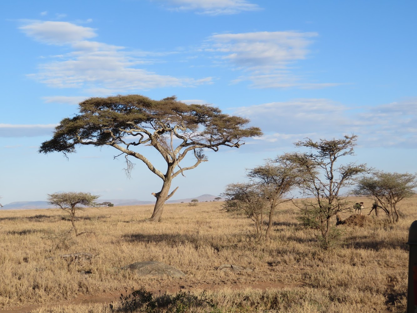 HAY ALGÚN PROBLEMA CON LA FOTO