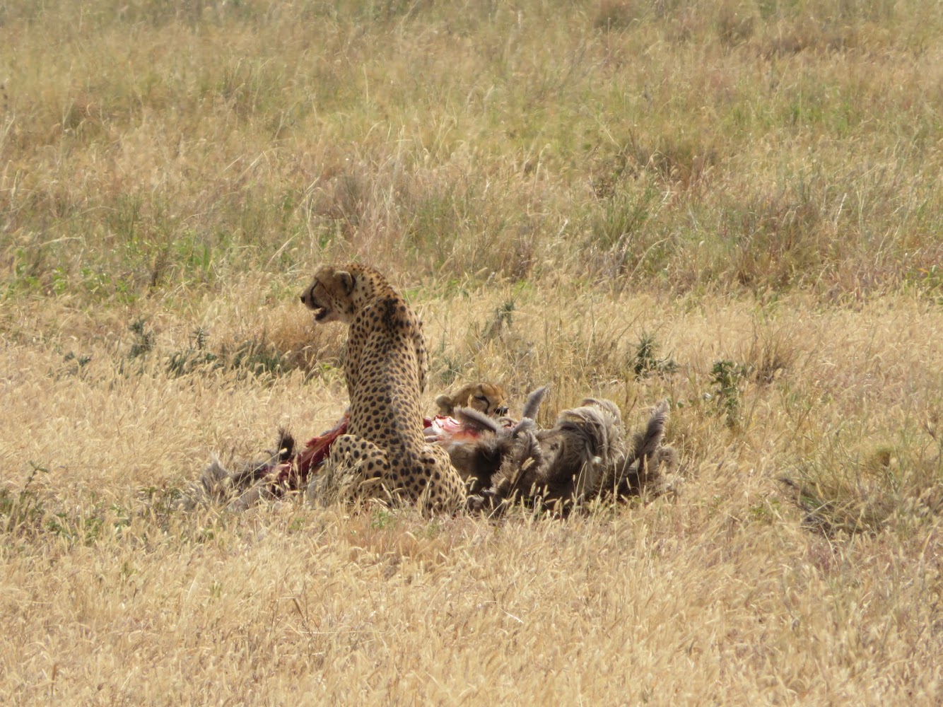 HAY ALGÚN PROBLEMA CON LA FOTO