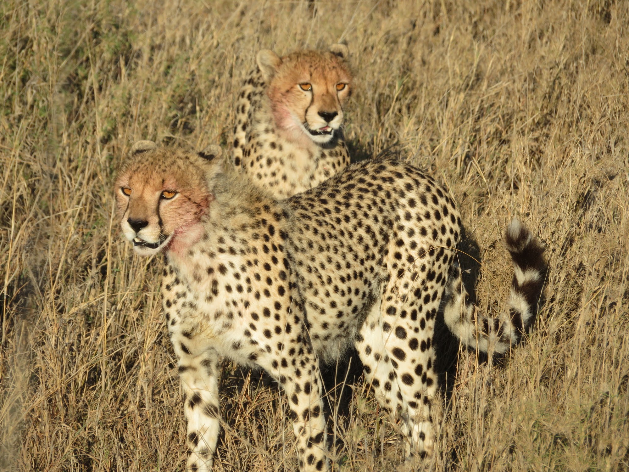 HAY ALGÚN PROBLEMA CON LA FOTO