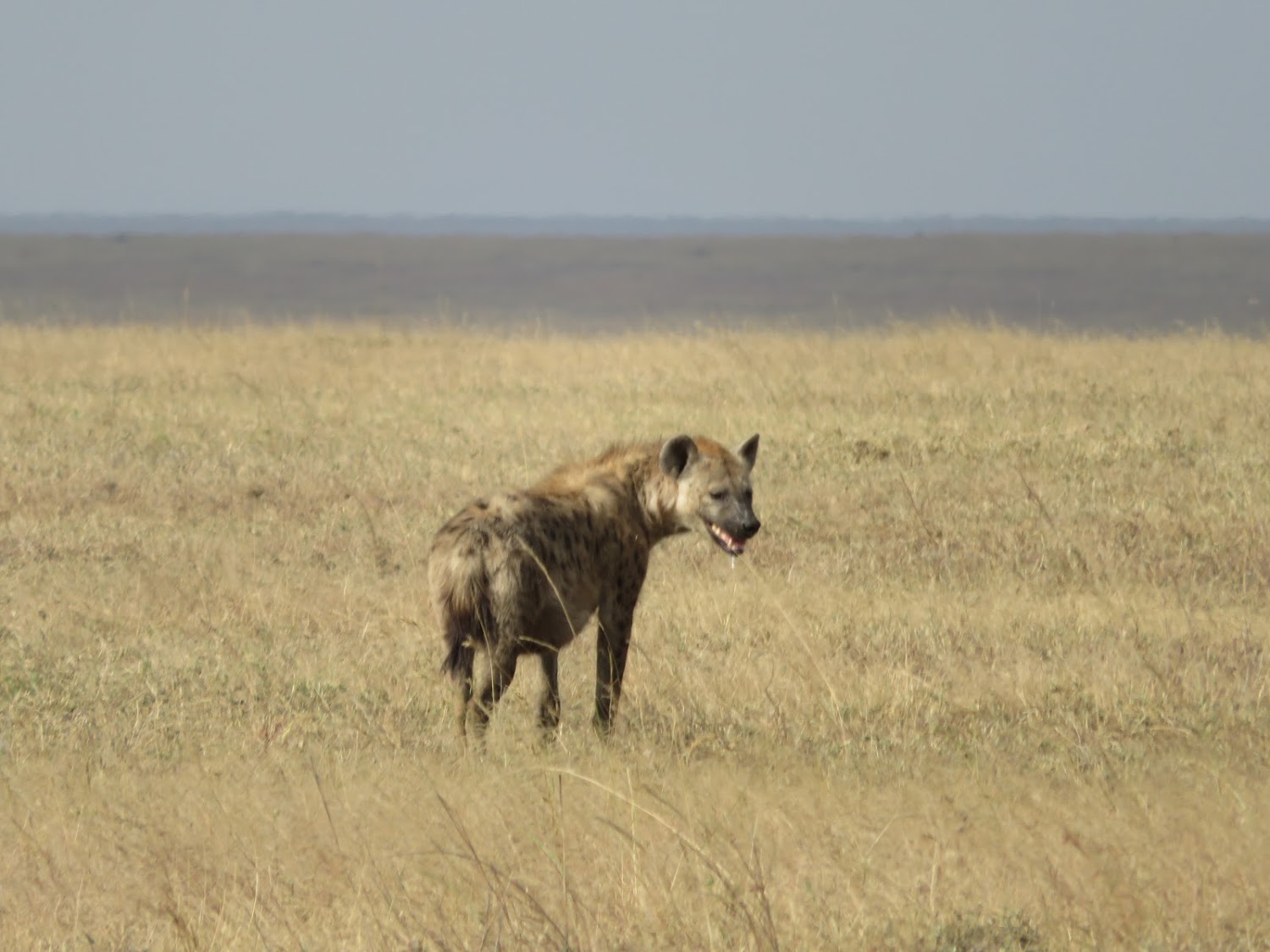 HAY ALGÚN PROBLEMA CON LA FOTO