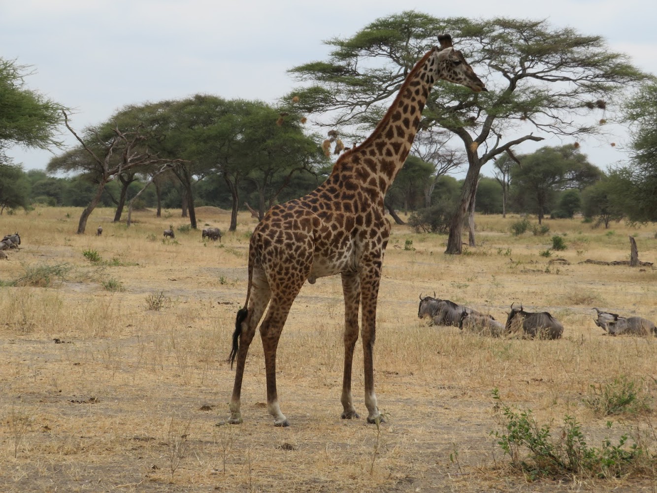 HAY ALGÚN PROBLEMA CON LA FOTO