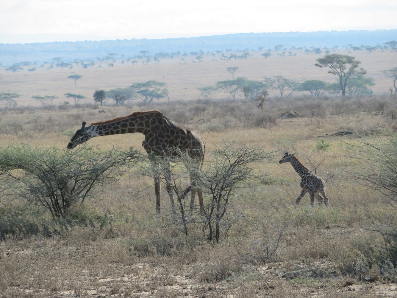 HAY ALGÚN PROBLEMA CON LA FOTO