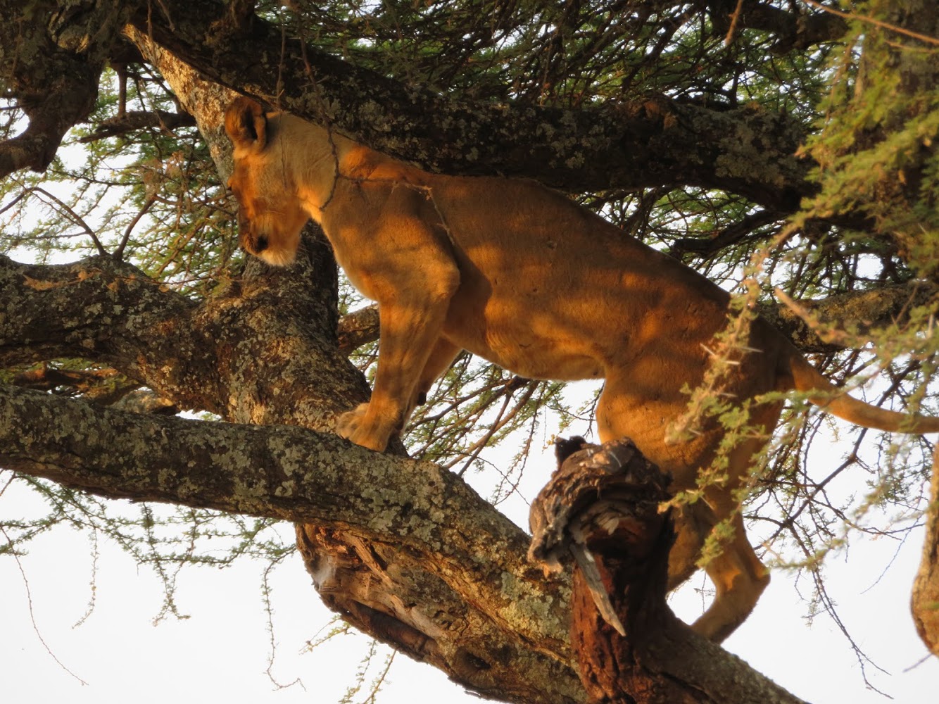 HAY ALGÚN PROBLEMA CON LA FOTO