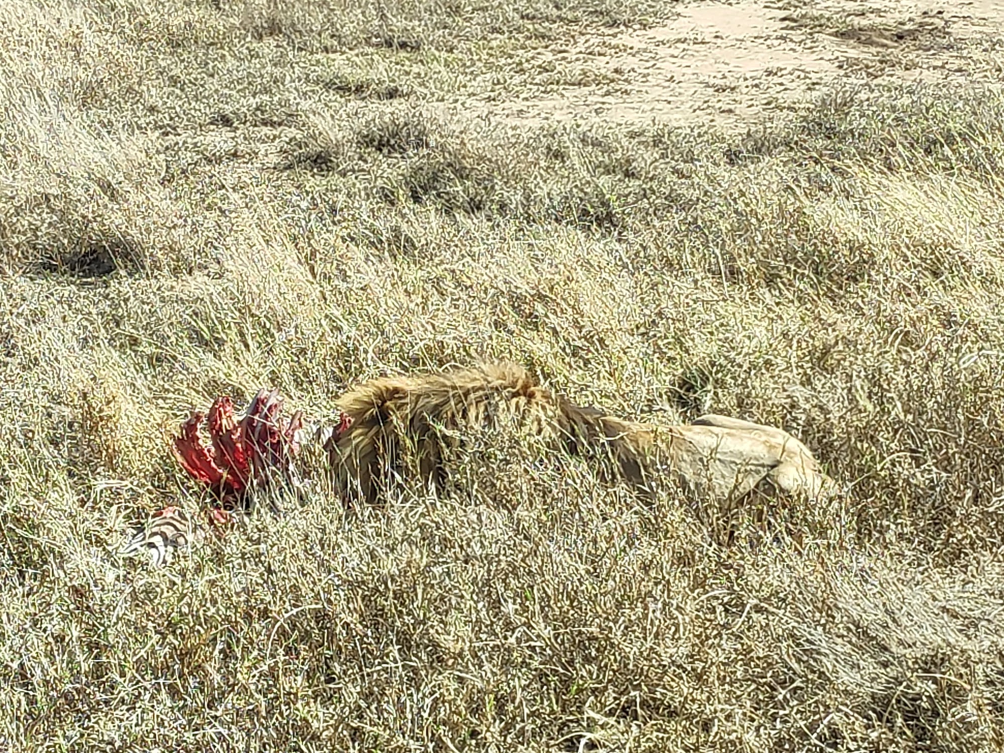 HAY ALGÚN PROBLEMA CON LA FOTO