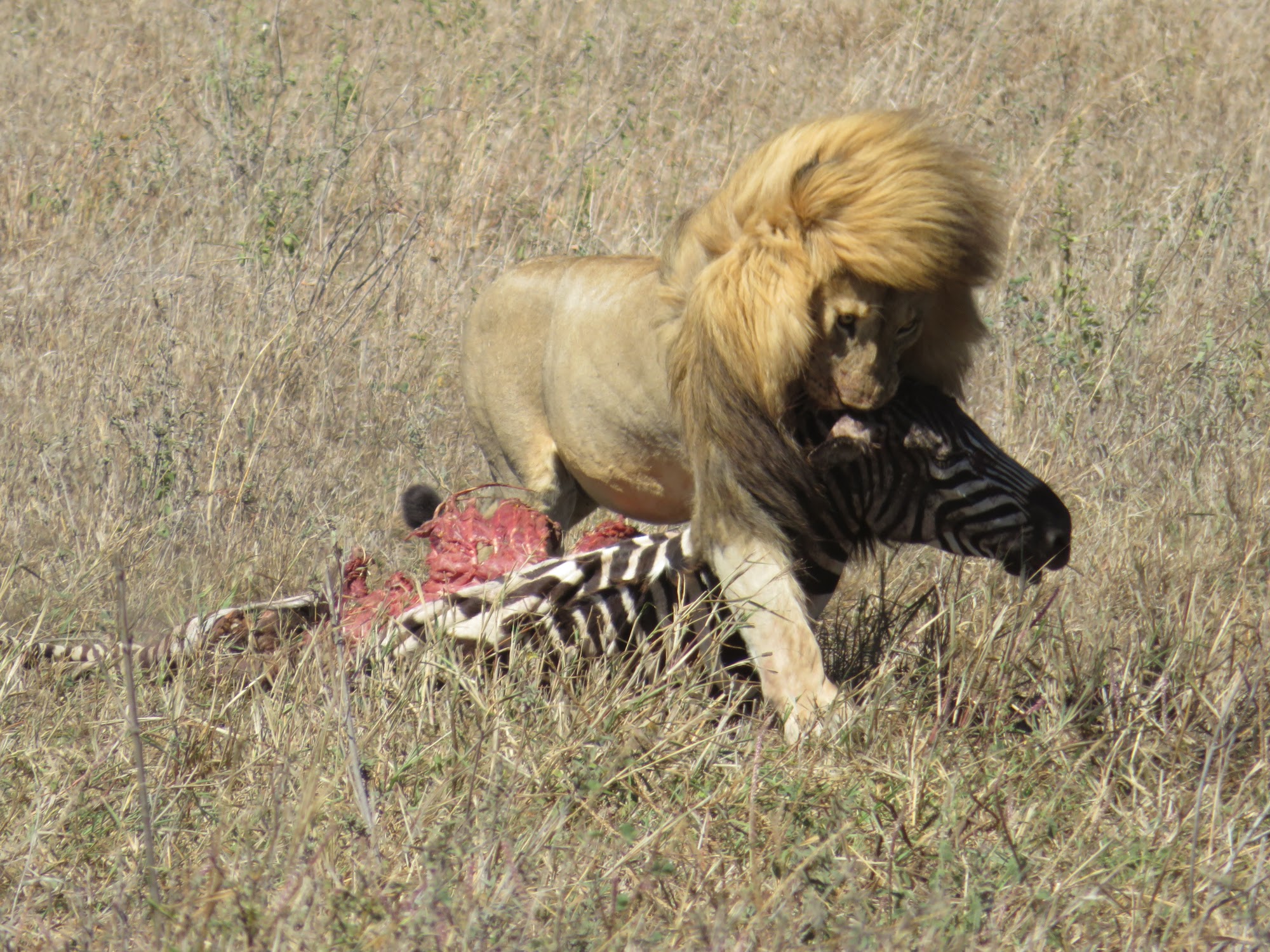 HAY ALGÚN PROBLEMA CON LA FOTO