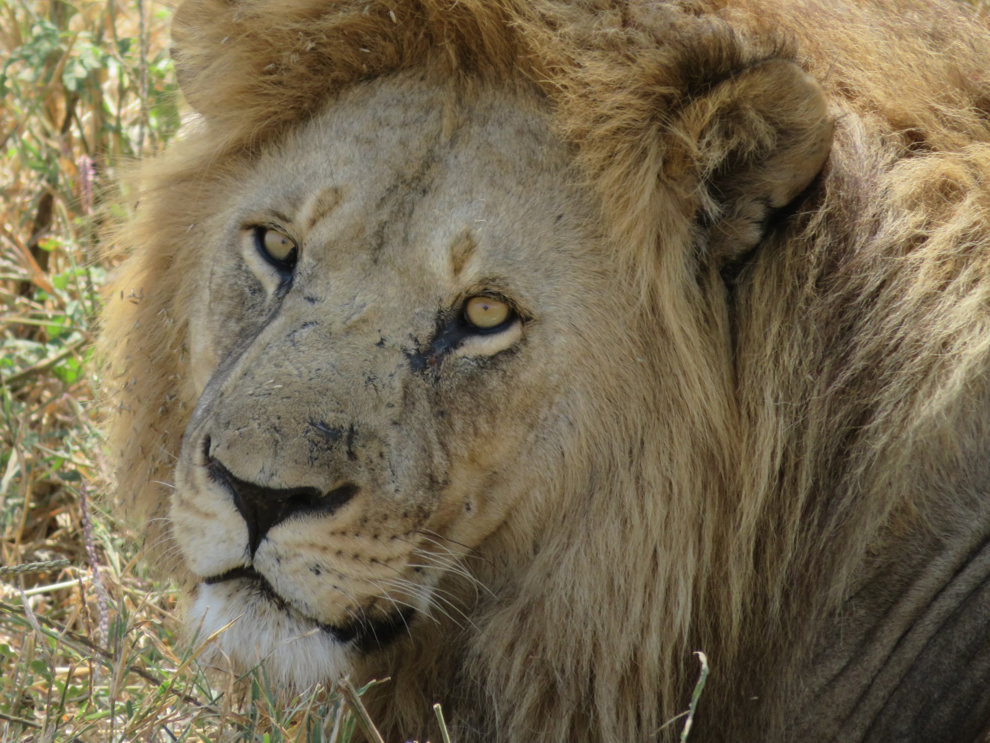 HAY ALGÚN PROBLEMA CON LA FOTO