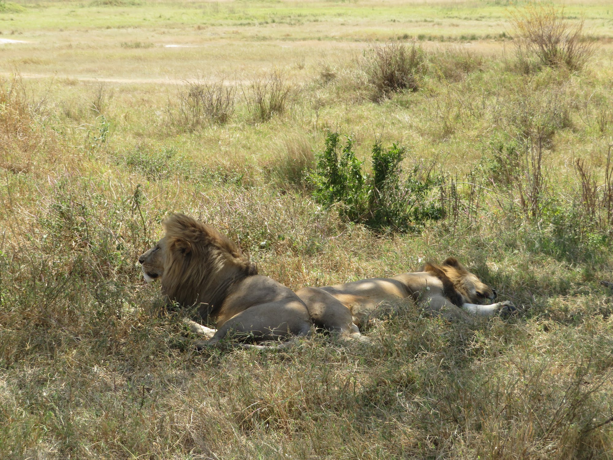 HAY ALGÚN PROBLEMA CON LA FOTO