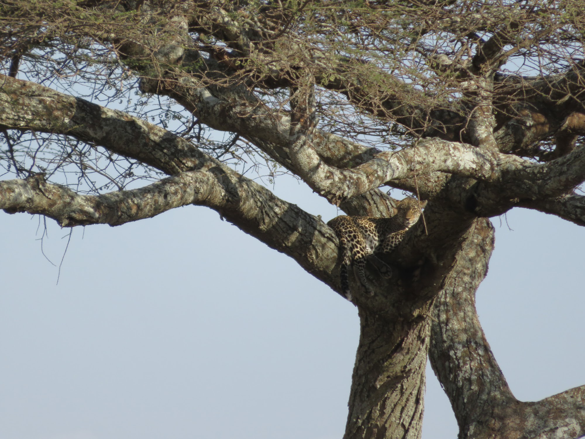 HAY ALGÚN PROBLEMA CON LA FOTO