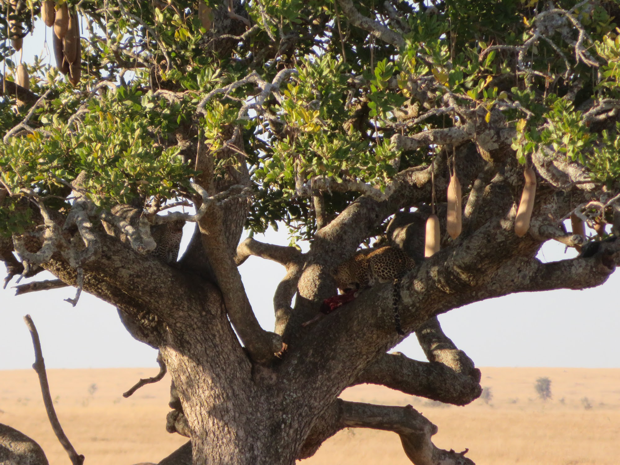HAY ALGÚN PROBLEMA CON LA FOTO