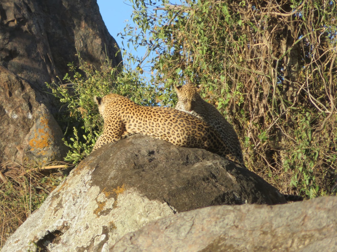 HAY ALGÚN PROBLEMA CON LA FOTO