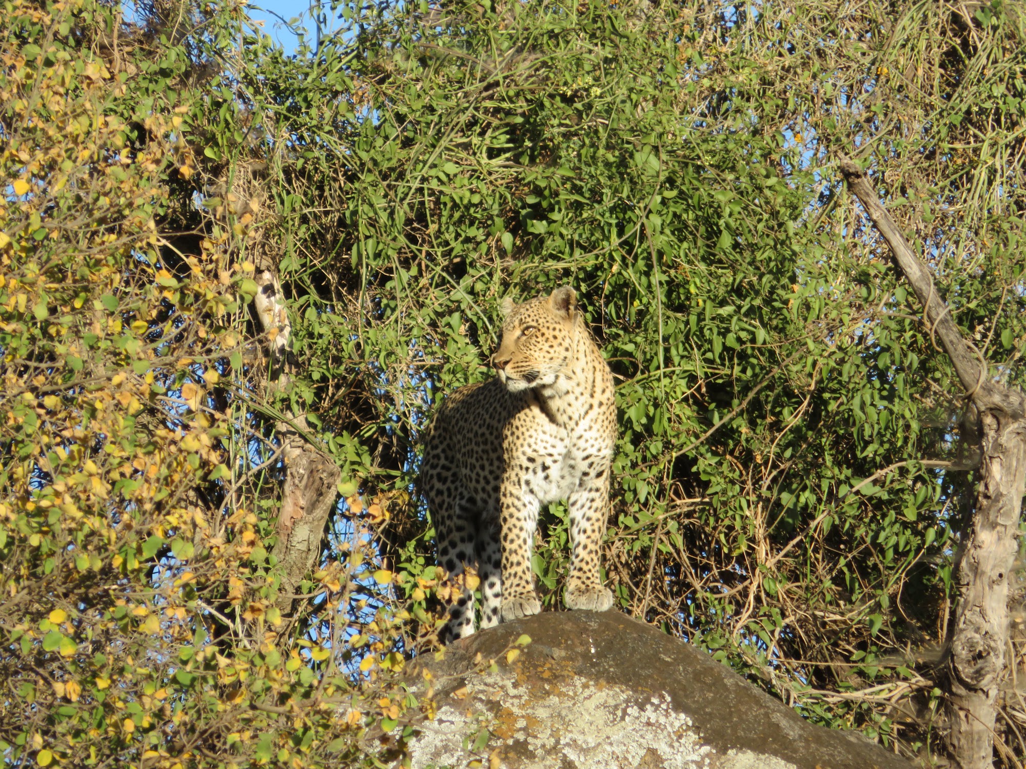 HAY ALGÚN PROBLEMA CON LA FOTO
