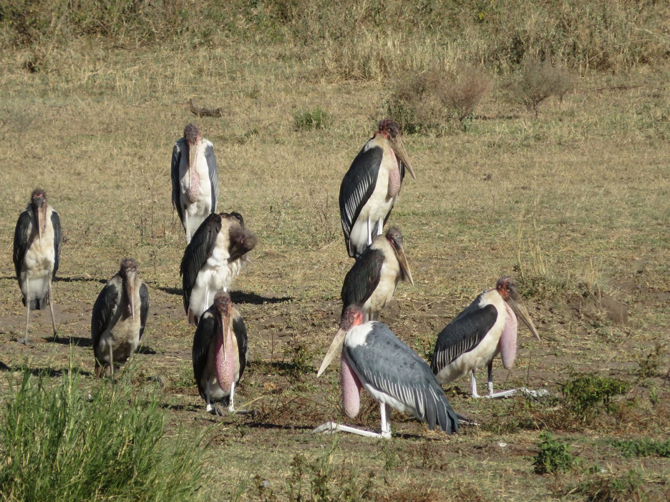 HAY ALGÚN PROBLEMA CON LA FOTO
