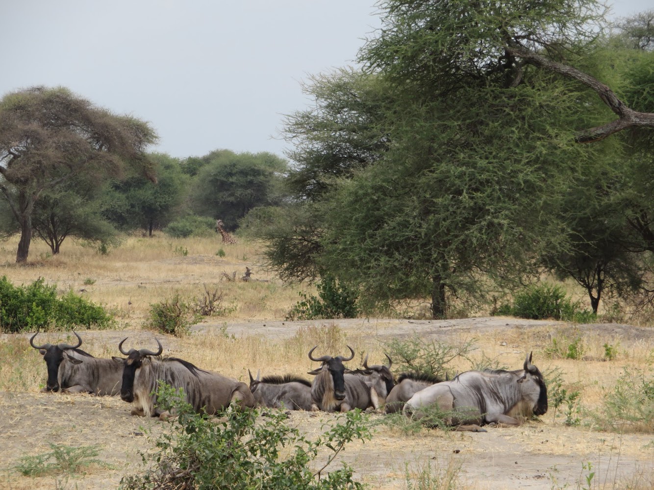 HAY ALGÚN PROBLEMA CON LA FOTO