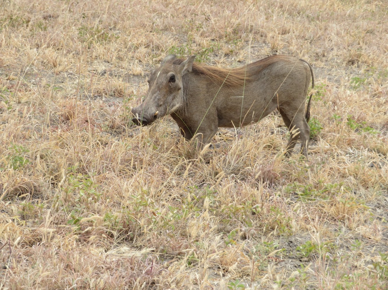HAY ALGÚN PROBLEMA CON LA FOTO